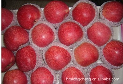 供應嘎啦蘋果 品質優良，產地直供