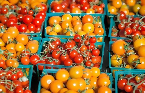 村村通冷鏈 構(gòu)建土特產(chǎn)產(chǎn)銷一體化生態(tài)集群，激活產(chǎn)業(yè)鏈新動(dòng)能